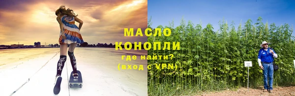 гашик Тайга