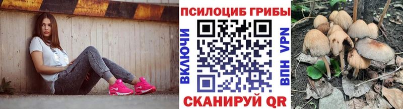 Псилоцибиновые грибы Psilocybe  KRAKEN   нарко площадка официальный сайт  Фролово 