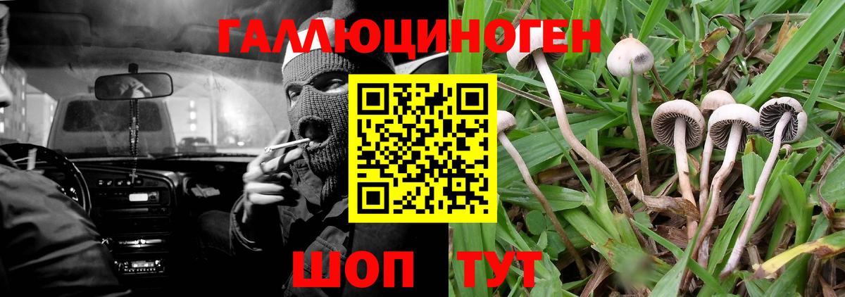 Псилоцибиновые грибы GOLDEN TEACHER  Фролово 