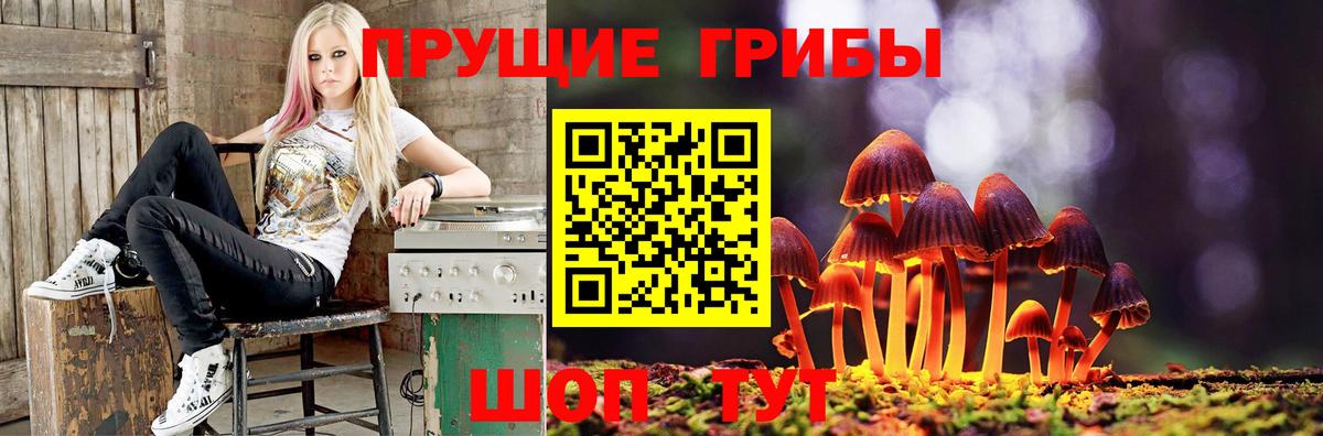 Псилоцибиновые грибы мицелий  Вход с VPN  Фролово  Галлюциногенные грибы MAGIC MUSHROOMS 
