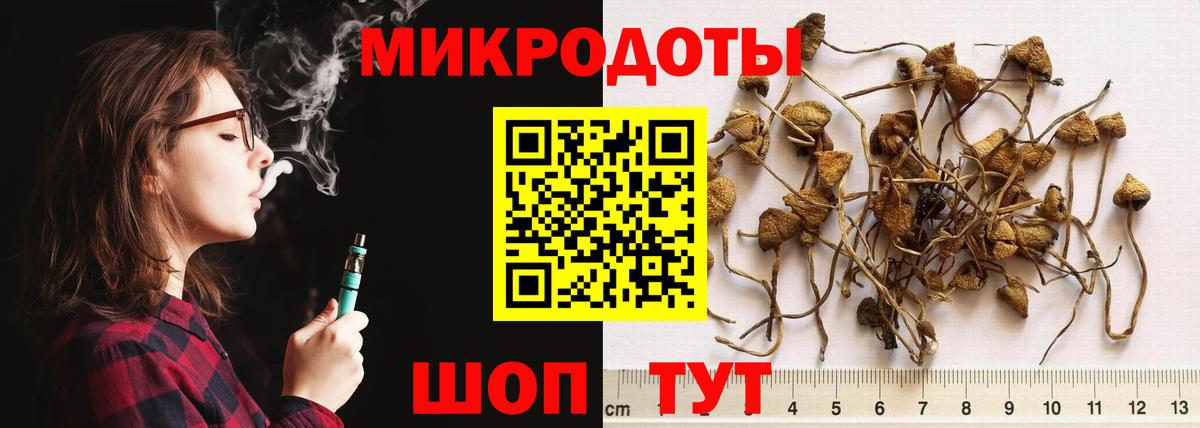 Галлюциногенные грибы мухоморы Фролово